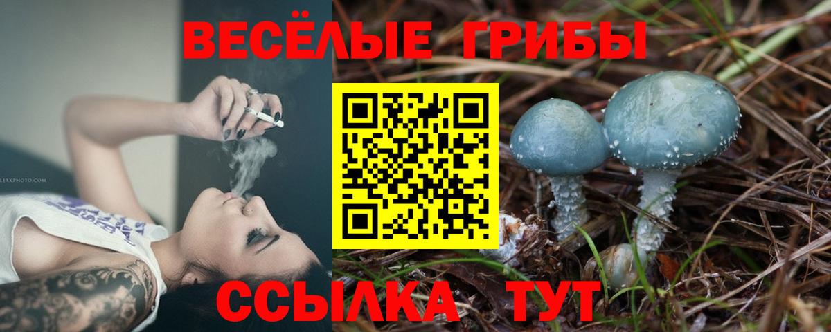 Новокузнецк  Галлюциногенные грибы MAGIC MUSHROOMS  Вход с VPN 